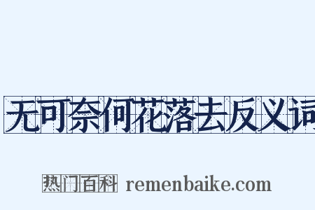 无可奈何花落去反义词是什么意思的图片